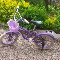 دوچرخه‌‌۱۲‌سالم