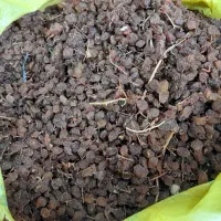 کشمش افتابی.|خوردنی و آشامیدنی|باغستان, |دیوار