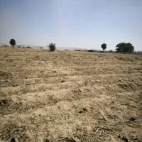اجاره زمین مرغوب کشاورزی
