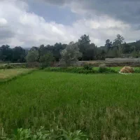 فروش ویلا ۱۰۵۰ متری سند تک برگ ۶ دانگ کامل مسکونی|فروش خانه و ویلا|لاهیجان, لیالستان|دیوار
