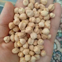 نخود درجه یک
