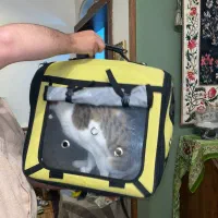 کوله پشتی حمل حیوانات و پرندگان خانگی.