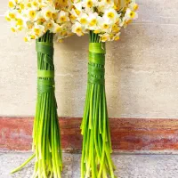 گل نرگس|گل و گیاه طبیعی|آغاجاری, |دیوار