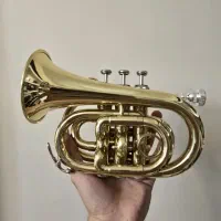 ترومپت مینی Pocket Trumpet|سازهای بادی|تهران, تهراننو|دیوار