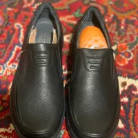 کفش فرزین (کاملا نو)|کیف، کفش، کمربند|مراغه, |دیوار