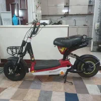 موتور برقی شارژی کویر 48ولت بزرگسالان