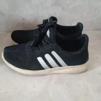 نیم بوت|کیف، کفش، کمربند|شاهینشهر, شهرک گلدیس|دیوار