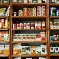 بهترین ارقام شرکتی خیار گوجه فرنگی کدو خورشتی