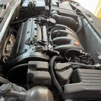 زانتیا۲۰۰۰