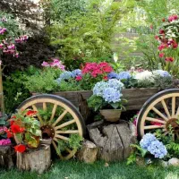 باغبانی در منزل