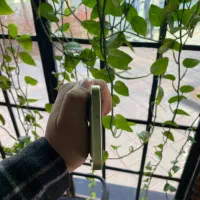 A25- 256gig- ram8 گارانتی فعال|موبایل|مشهد, آزادشهر|دیوار