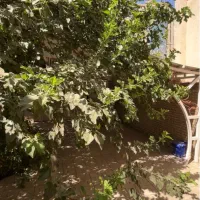 فروش-منزل-مسکونی-نعل-اسبی-شهرک-دانشگاه-صفاییه