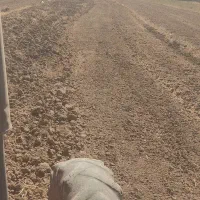 ردیف کار آبی کار|خدمات باغبانی و درختکاری|خاوه, |دیوار