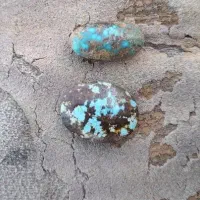 دوعدد نگین فیروزه