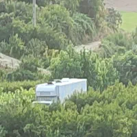 استخدام کارگر ساده