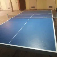 میز پینگ پنگ