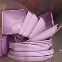 ظروف مسافرتی