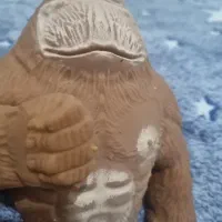 میمون|اسباب‌‌بازی|خرم‌آباد, |دیوار