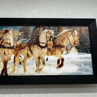 تمیز|تابلو، نقاشی، عکس|تهران, شهرک چیتگر|دیوار