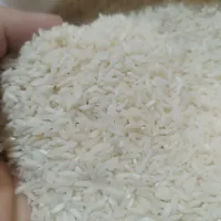 برنج ایرانی، بی واسطه از شالیکار بخرید|خوردنی و آشامیدنی|مشهد, عبادی|دیوار