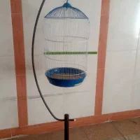 قفس کنارسالنی پرنده