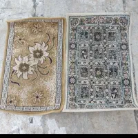 دو عدد پادری کاملا سالم