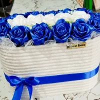 افتابگردون رز نیلوفر ربانی باقیمت عالی