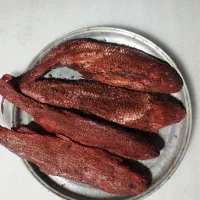 ماهی شور|ماهی|کیاشهر, |دیوار