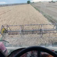 فروش و اجاره ۴ هکتار زمین کشاورزی