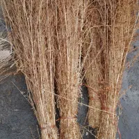 جارو|لوازم نظافت|نهاوند, |دیوار