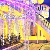 اجراصفرتاصدمراسم شمادر تالار عمارت|خدمات پذیرایی، مراسم|کرج, انبار مپنا|دیوار