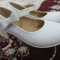 کفش|کیف، کفش، کمربند|آباده, |دیوار