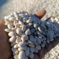 لوبیا سفید درجه یک