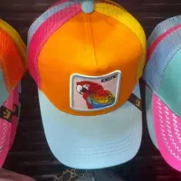 ۲۰ عروس هلندی جهت معاوضه با طوطی ملنگ