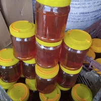 عسل طبیعی کوهستان|خوردنی و آشامیدنی|مراغه, |دیوار