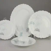 دو عدد سرویس اپال کاملا نو
