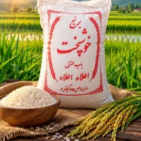 برنج خوشپخت گیلان