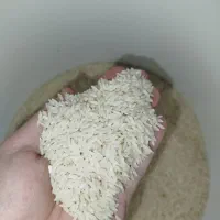 برنج هاشمی