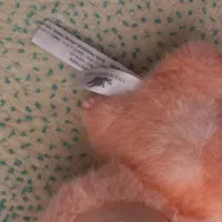 لبوبو|اسباب‌‌بازی|اردبیل, |دیوار