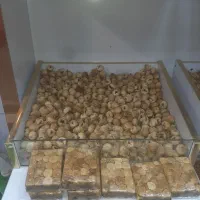 یخچال ۳ درب دوطرف نما و باکس اجیل و حبوبات|فروشگاه و مغازه|سوسنگرد, |دیوار