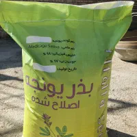 بذر یونجه بذر ذرت ایرانی وارداتی