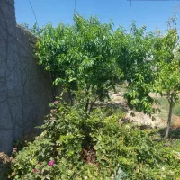 باغچه-750-متری-جنب-بلوار-جواداباد