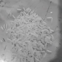 برنج طارم  دم سیاه