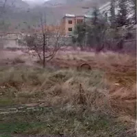 تهاتر 2000 زمین در بکرترین منطقه لواسان|فروش زمین و ملک کلنگی|تهران, زعفرانیه|دیوار