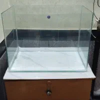 اکواریوم شیشه خم  سالم