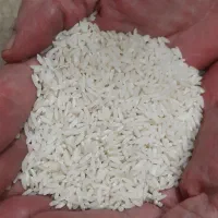 برنج دورود درجه یک به شرط مستقیم از کشاورز