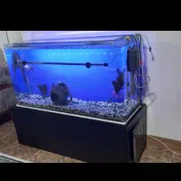 آکواریوم باتمام وسایل