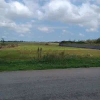 شالیزار-به-متراژ-4-300-متر-به-صورت-سنتی