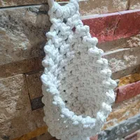 انواع ریسه ها و شمشاد سبز و گلدان|گل مصنوعی|اهواز, پادادشهر|دیوار