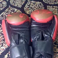 دستکش بوکس|تجهیزات ورزشی|الشتر, |دیوار